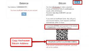 Copy_Hashocean_Bitcoin_Address
