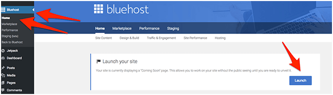 Wordpress Bluehost Launch