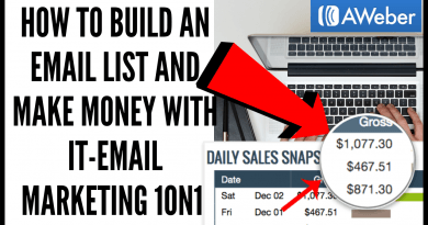 How To Build an Email List and Profit from it-Email Marketing 2020