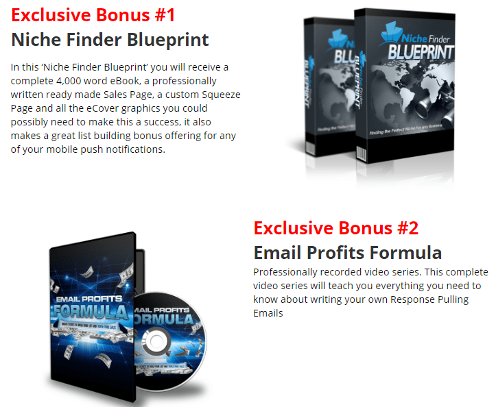 Niche Finder Blueprint Email Profit Bonus 1 and 2