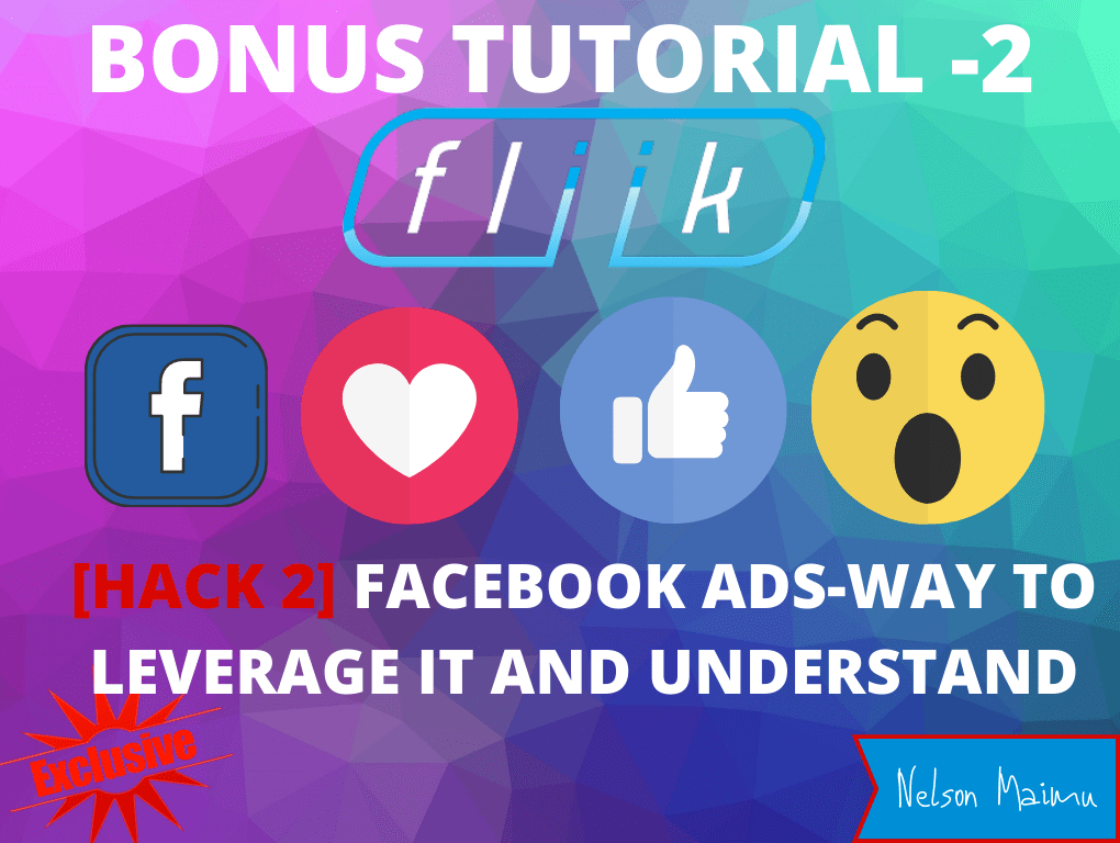 FLIIK BONUS NO. 2 FACEBOOK ADS